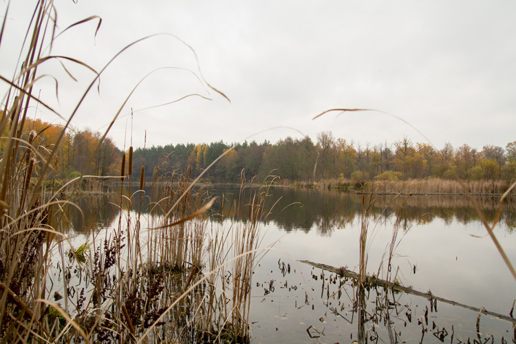 Рыбалка на реке Илеть Тест [Копия 19.04.2018 19:45:31] [Копия 19.04.2018 19:45:34]